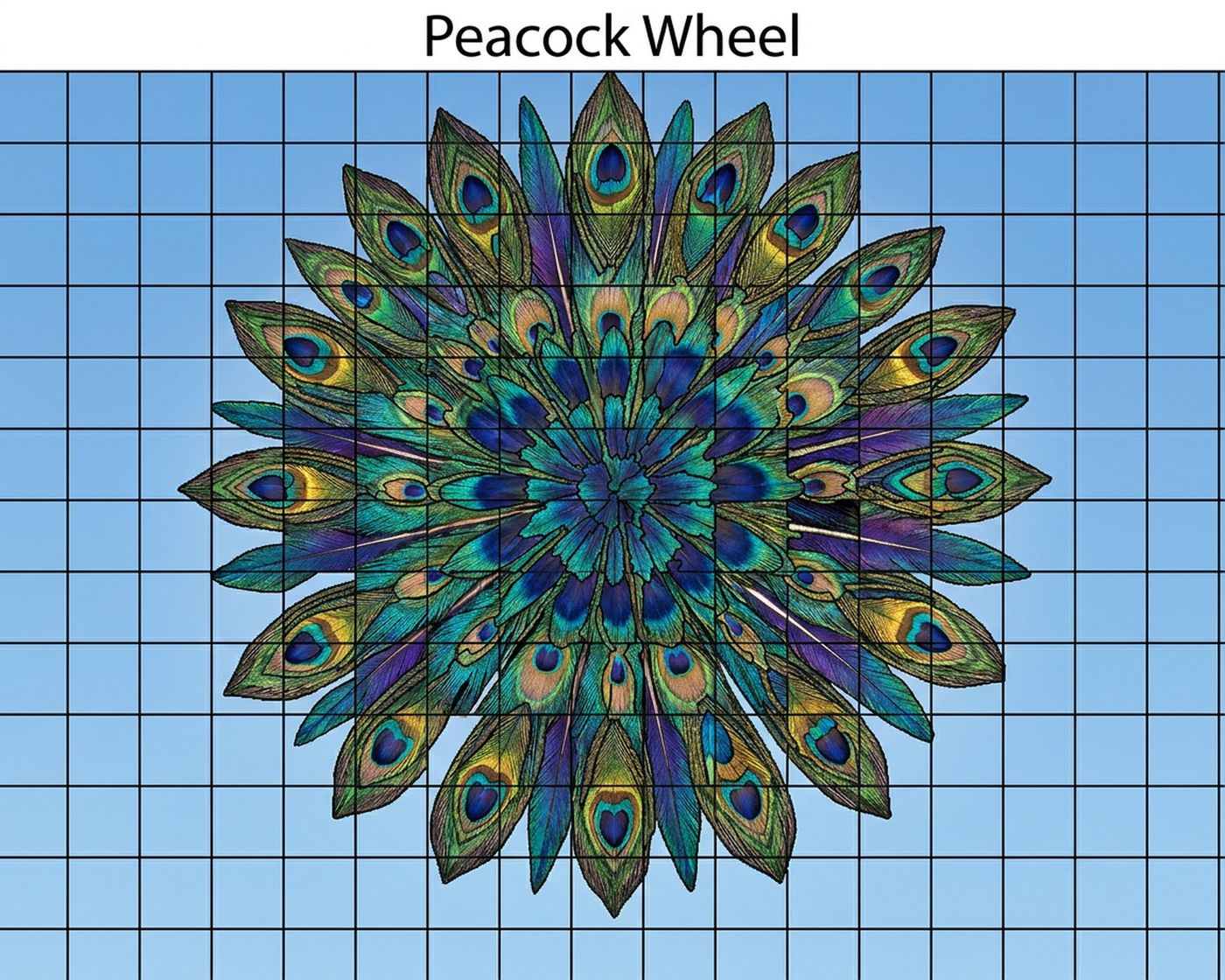 Full-colour reference for Peacock Wheel
