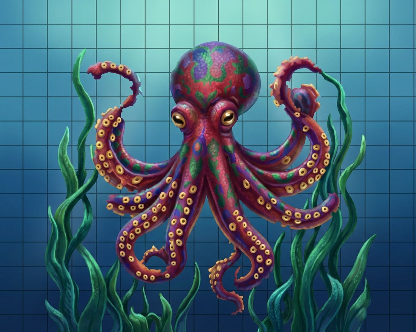 Full-colour reference for Patterned Octopus