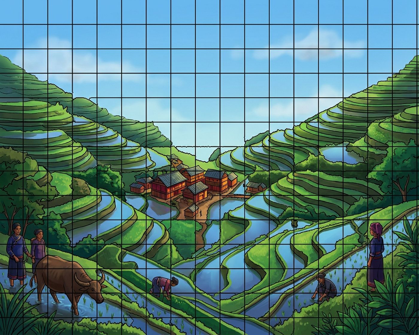 Full-colour reference for Rice Terraces