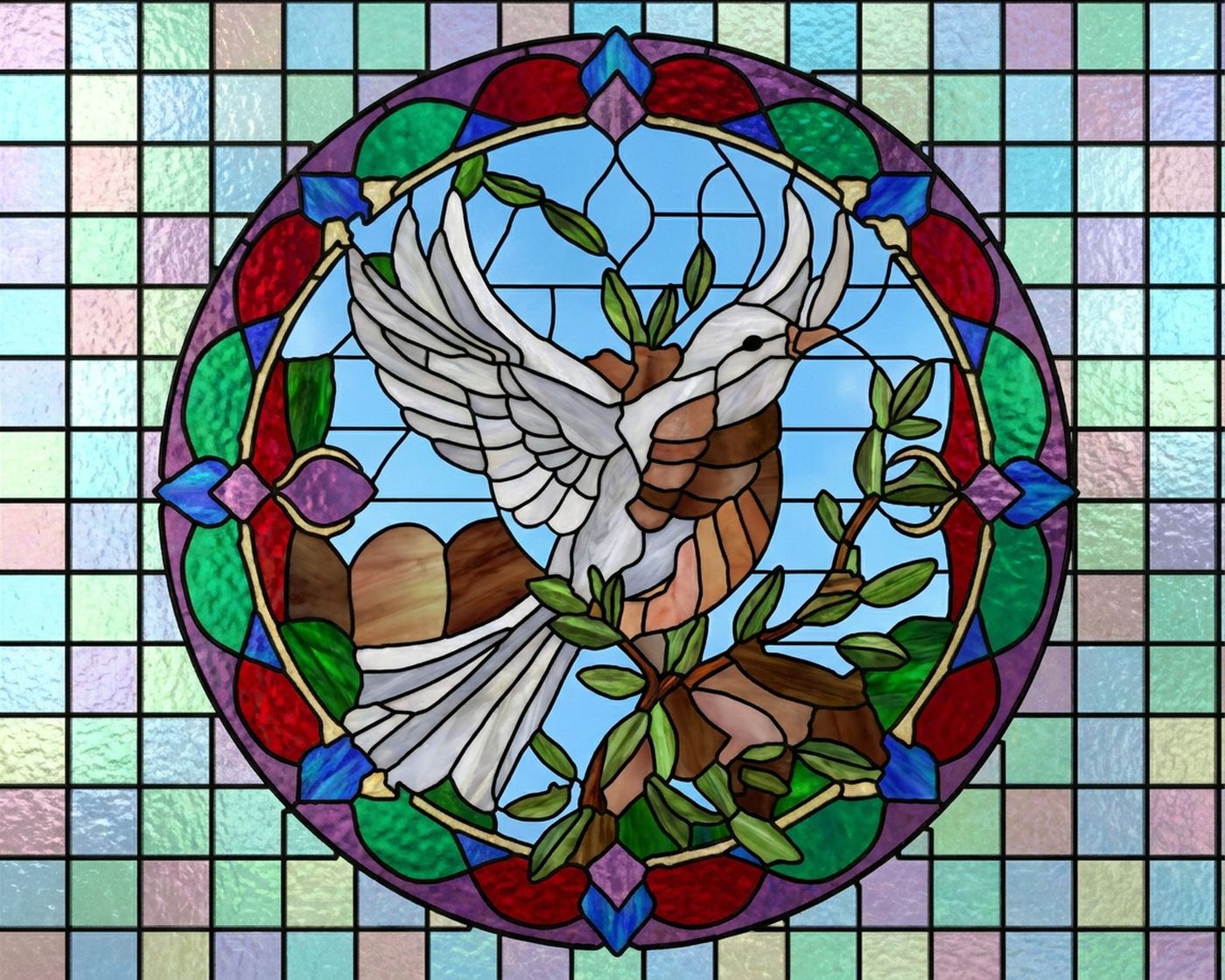 Full-colour reference for Peace Dove