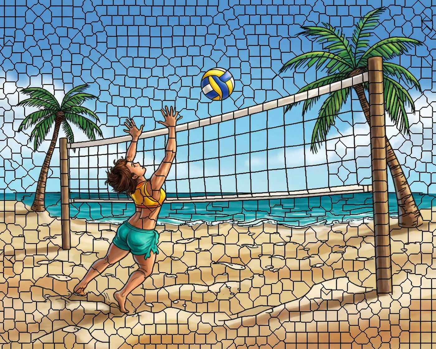 Full-colour reference for Beach Volleyball
